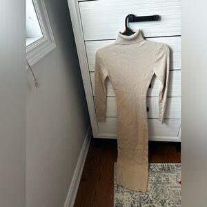 Turtle Neck Dress